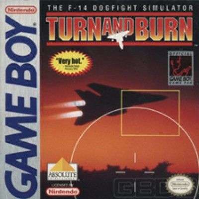 Turn and Burn: The F-14 Dogfight Simulator Video Game