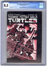 Teenage Mutant Ninja Turtles #1