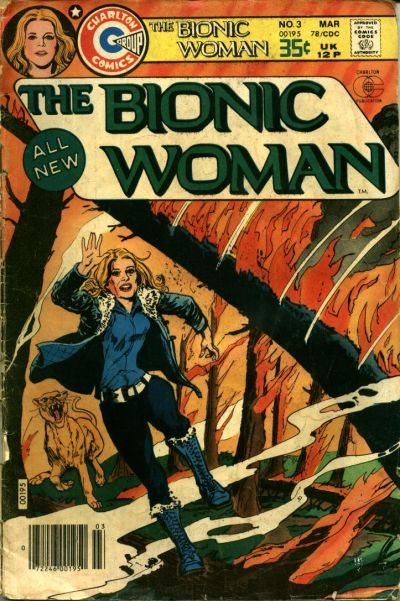 Bionic Woman #3 Comic