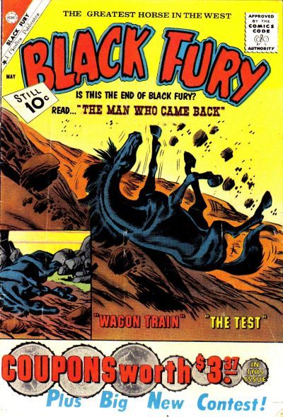 Black Fury #30 Comic
