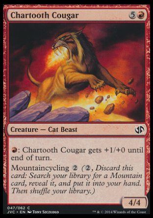 Chartooth Cougar (Duel Decks : Anthology) Trading Card