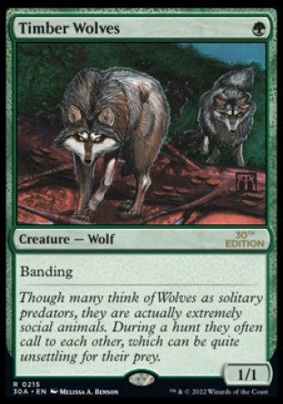 Timber Wolves (Magic 30th Anniversary Edition) Trading Card