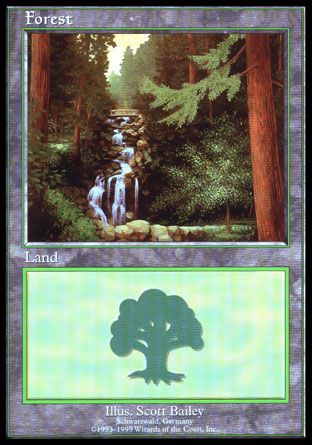 Forest (Euro Lands) Trading Card