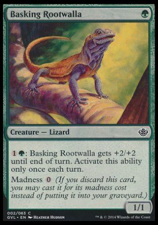 Basking Rootwalla (Duel Decks : Anthology) Trading Card