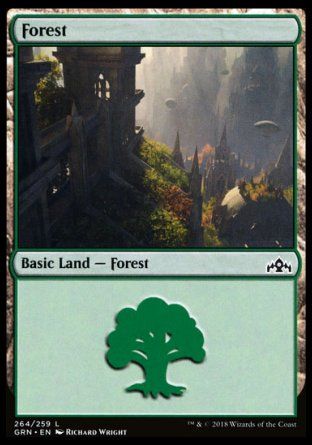 Forest (Guilds of Ravnica) Trading Card