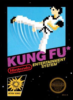 Kung Fu Video Game