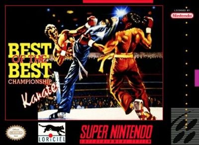 Best of the Best: Championship Karate Video Game