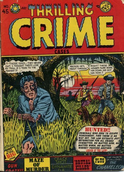 Thrilling Crime Cases #45 Comic