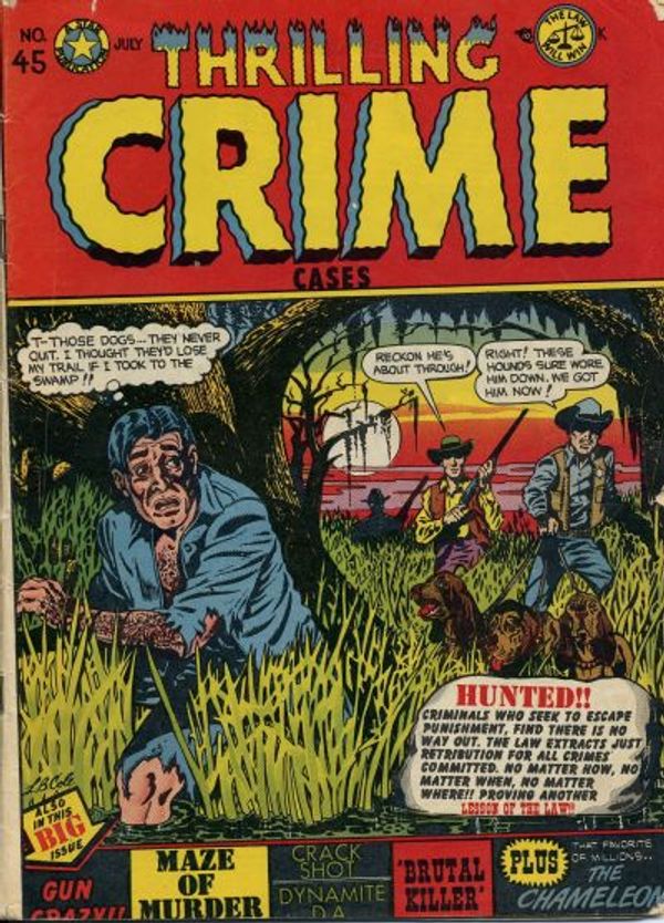 Thrilling Crime Cases #45
