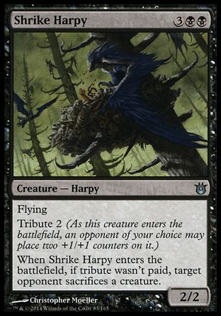 Shrike Harpy (Born of the Gods) Trading Card