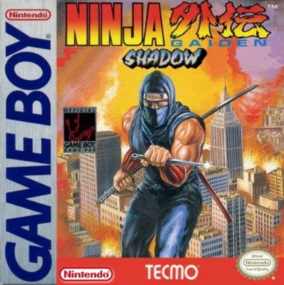 Ninja Gaiden Shadow Video Game