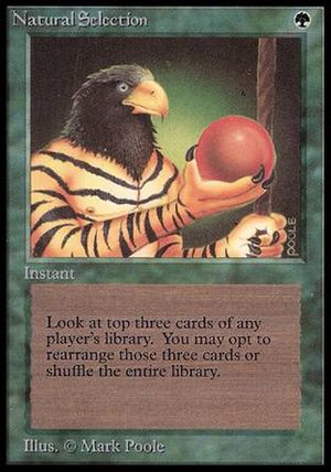 Natural Selection (Beta)