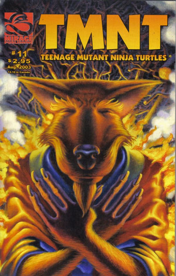 TMNT: Teenage Mutant Ninja Turtles #11
