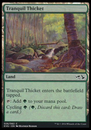 Tranquil Thicket (Duel Decks : Anthology) Trading Card