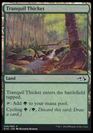 Tranquil Thicket (Duel Decks : Anthology)