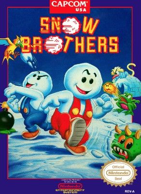 Snow Brothers Video Game