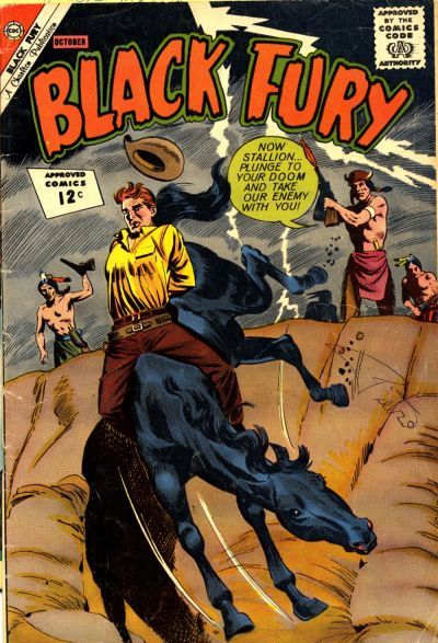 Black Fury #38 Comic