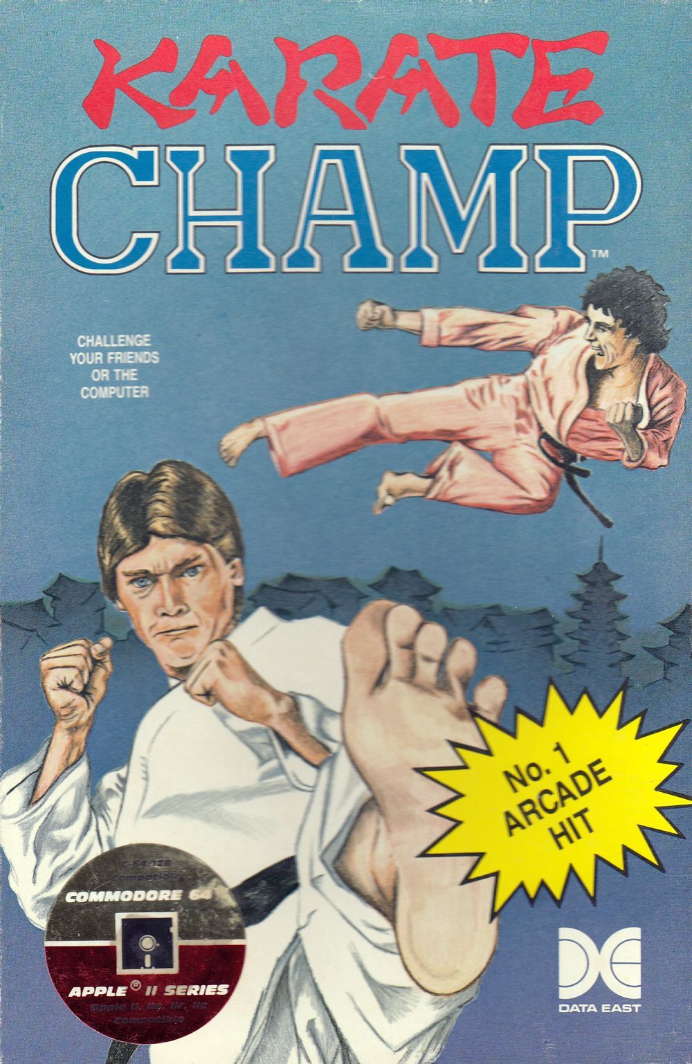 Karate Champ Video Game
