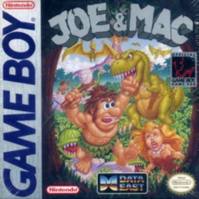Joe & Mac Video Game