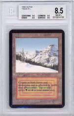 Taiga (Alpha)