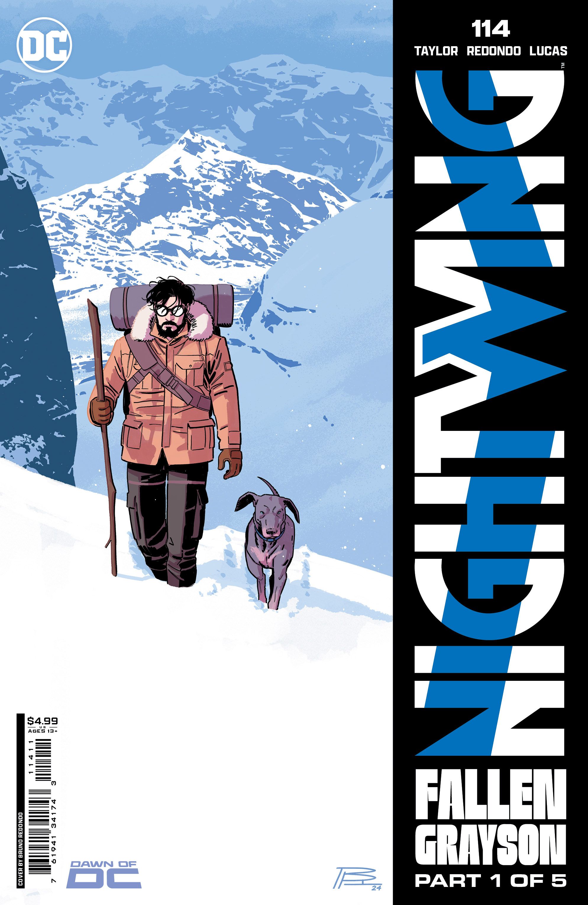 Nightwing #114 Comic