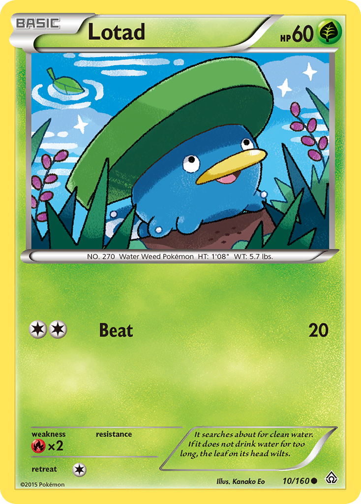 Lotad (10/160) - Primal Clash Pokémon Card