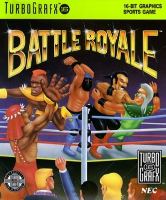 Battle Royale Video Game