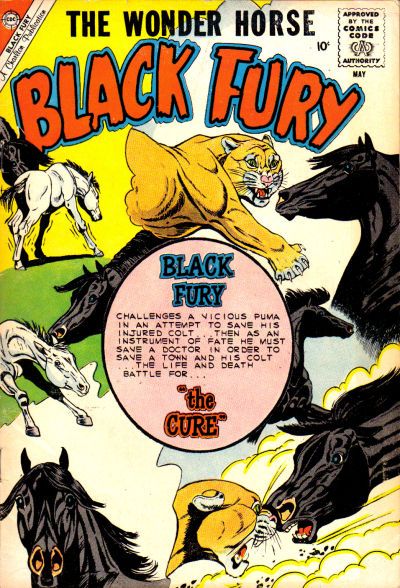 Black Fury #24 Comic
