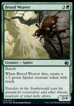 Brood Weaver (Innistrad: Midnight Hunt)