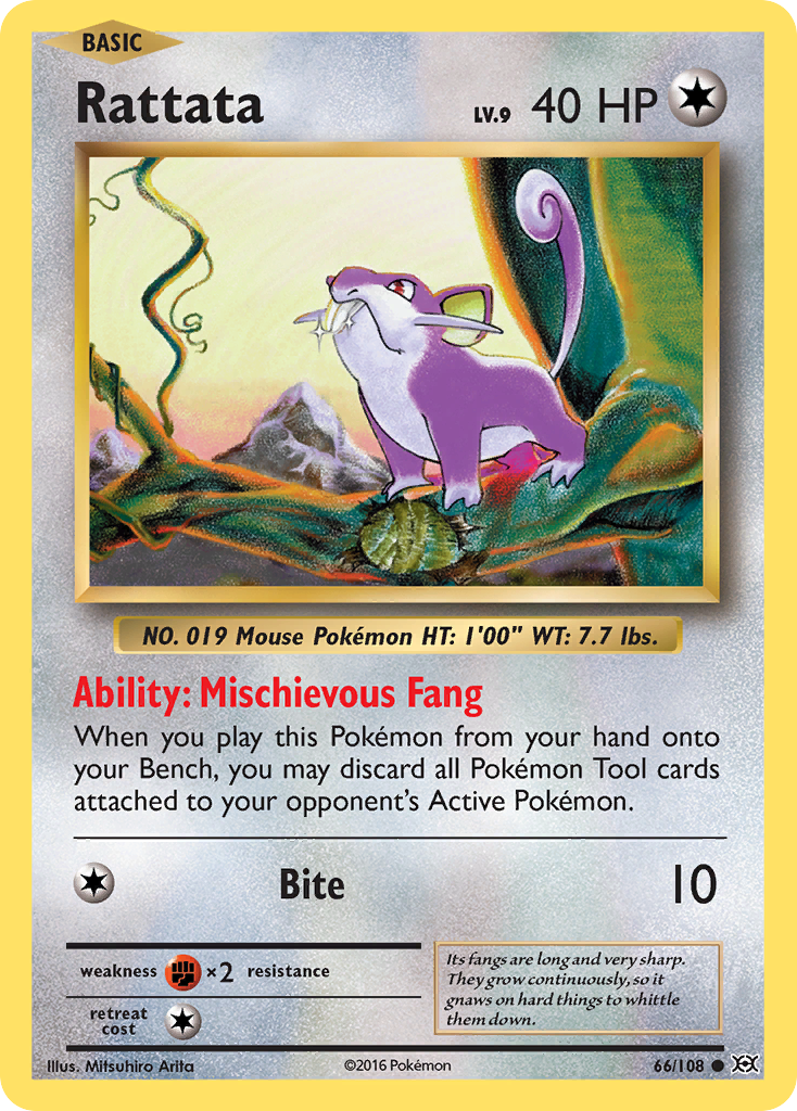 Rattata (66/108) - Evolutions Pokémon Card