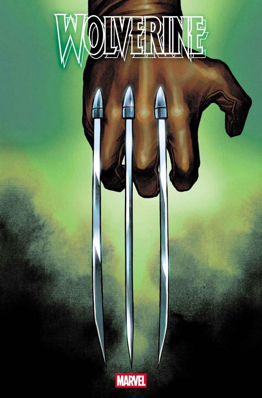 Wolverine #22 (Martin Coccolo Hidden Variant) Comic