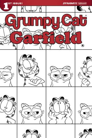 Grumpy Cat Garfield #1 (Cover G 10 Copy Hirsch Cover)