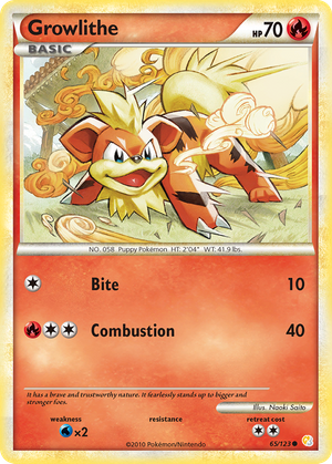 Naoki Saito Pokmon Cards Values - GoCollect