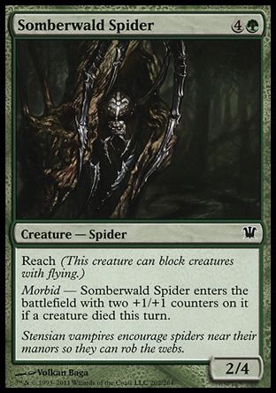 Somberwald Spider (Innistrad) Trading Card