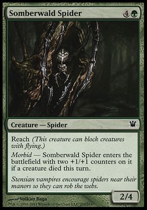 Somberwald Spider (Innistrad)