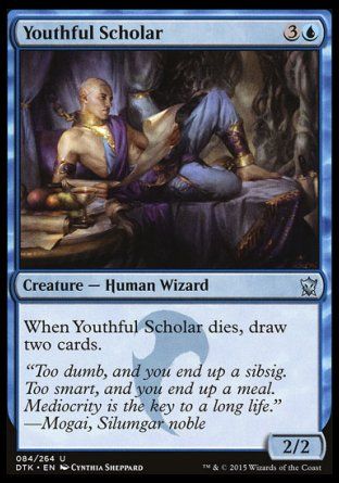 Youthful Scholar (Dragons of Tarkir) Trading Card