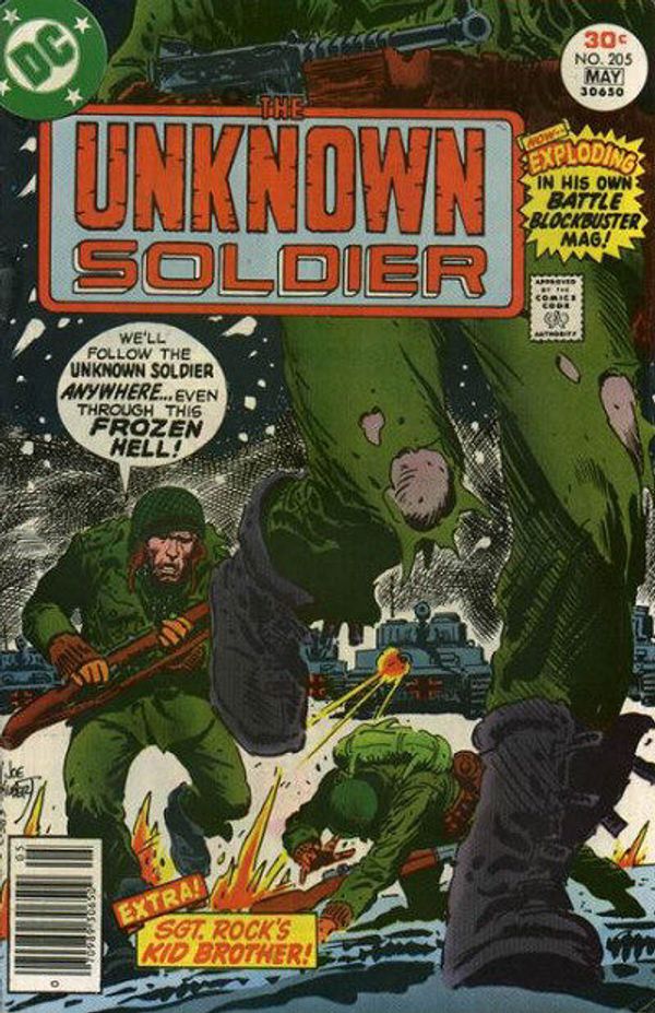 Unknown Soldier #205