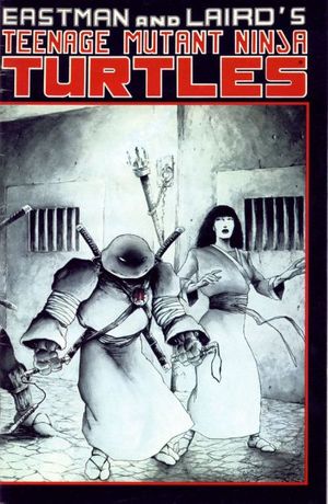 Teenage Mutant Ninja Turtles #17
