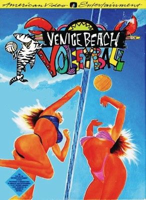 Venice Beach Volleyball Video Game