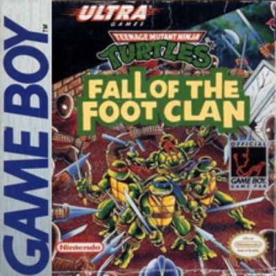 Teenage Mutant Ninja Turtles: Fall of the Foot Clan Video Game