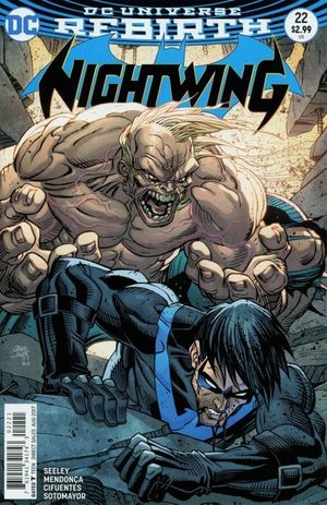 Nightwing #22 (Variant Cover)