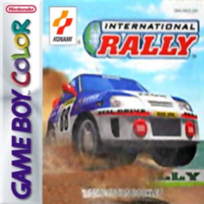 International Rally Video Game