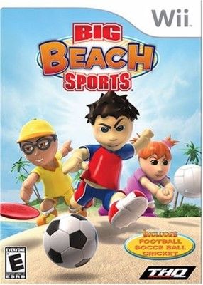 Big Beach Sports Video Game