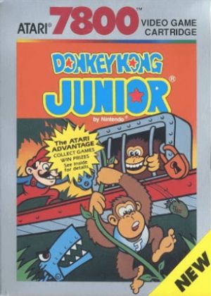 Donkey Kong Junior