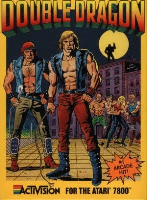 Double Dragon Video Game