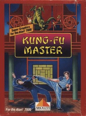 Kung-Fu Master Video Game