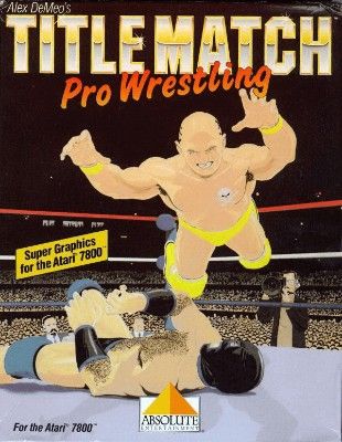 Title Match Pro Wrestling Video Game
