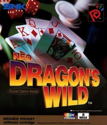 Neo Dragon's Wild Video Game
