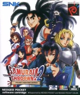 Samurai Shodown 2! Video Game