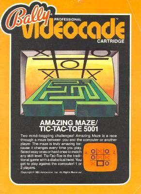 Amazing Maze / Tic-Tac-Toe Video Game